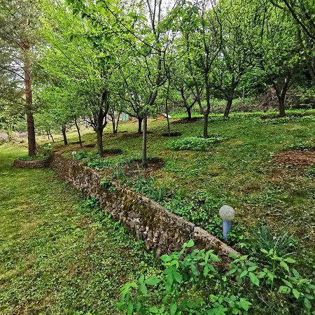 Aqua בית הארחה